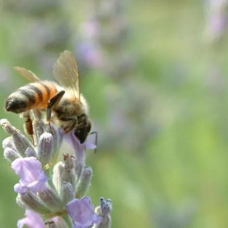 別荘 Casabencio ラツィーゼ
