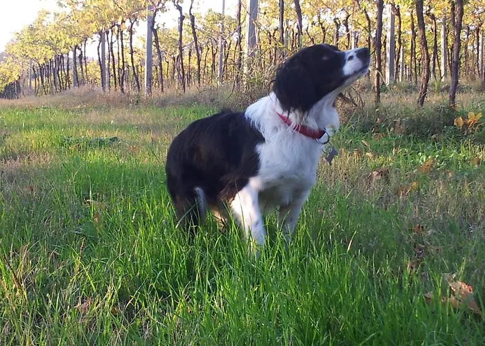 Prázdninový dům Casabencio Lazise