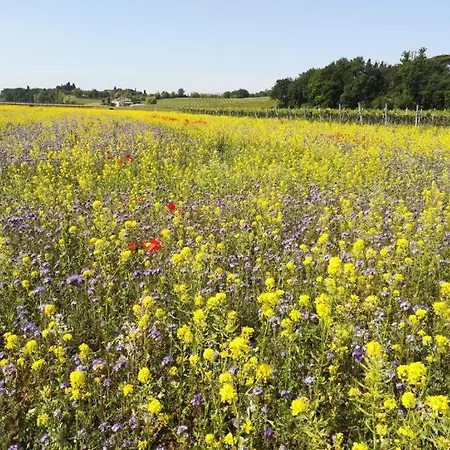 Vakantiehuis Casabencio