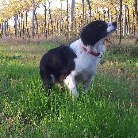 Casa vacanze Casabencio Lazise